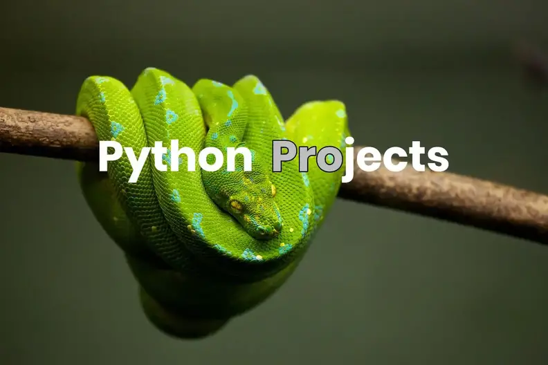 Python Projects